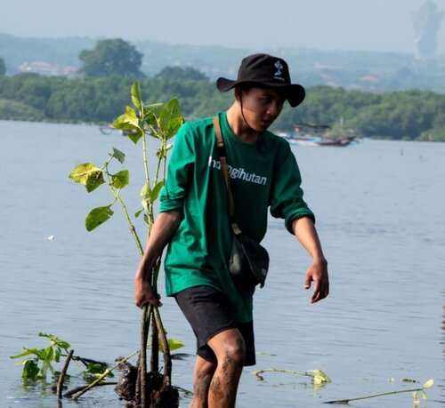 Program POLUTREE, LindungiHutan (Sumber VRITIMES.com)