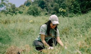 Menanam Pohon Trembesi (WSBP)