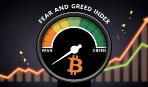 Fear and Greed Index Bitcoin