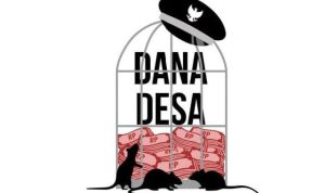Dana Desa SarokaTahun 2022 - 2024 Dugaan Penyelewengan Menguat: Perlu Audit Menyeluruh