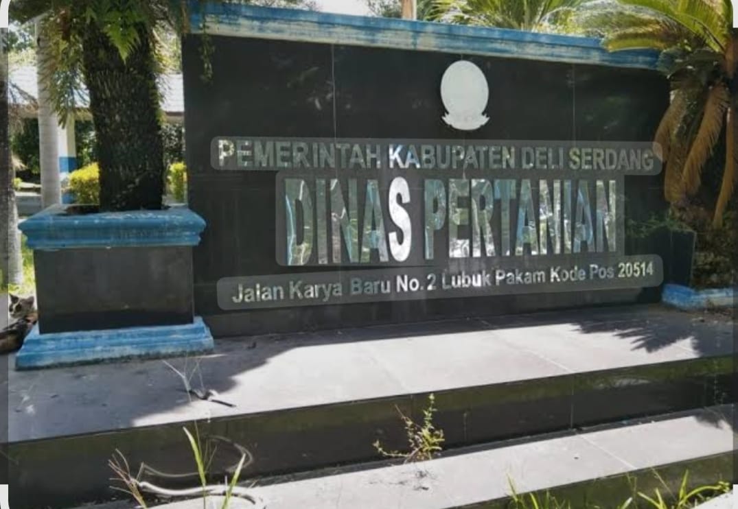 Ketahanan Pangan Diambang Kegagalan, Publik Tagih Ketegasan Bupati Asriludin